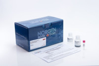 60500 Cell Culture Media Exosome Purification Midi Kit ( 25 preps )